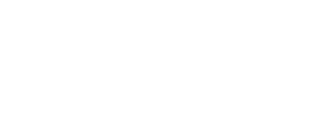 DiTO Berlin — Diagnostics, Training, Organizational Development
